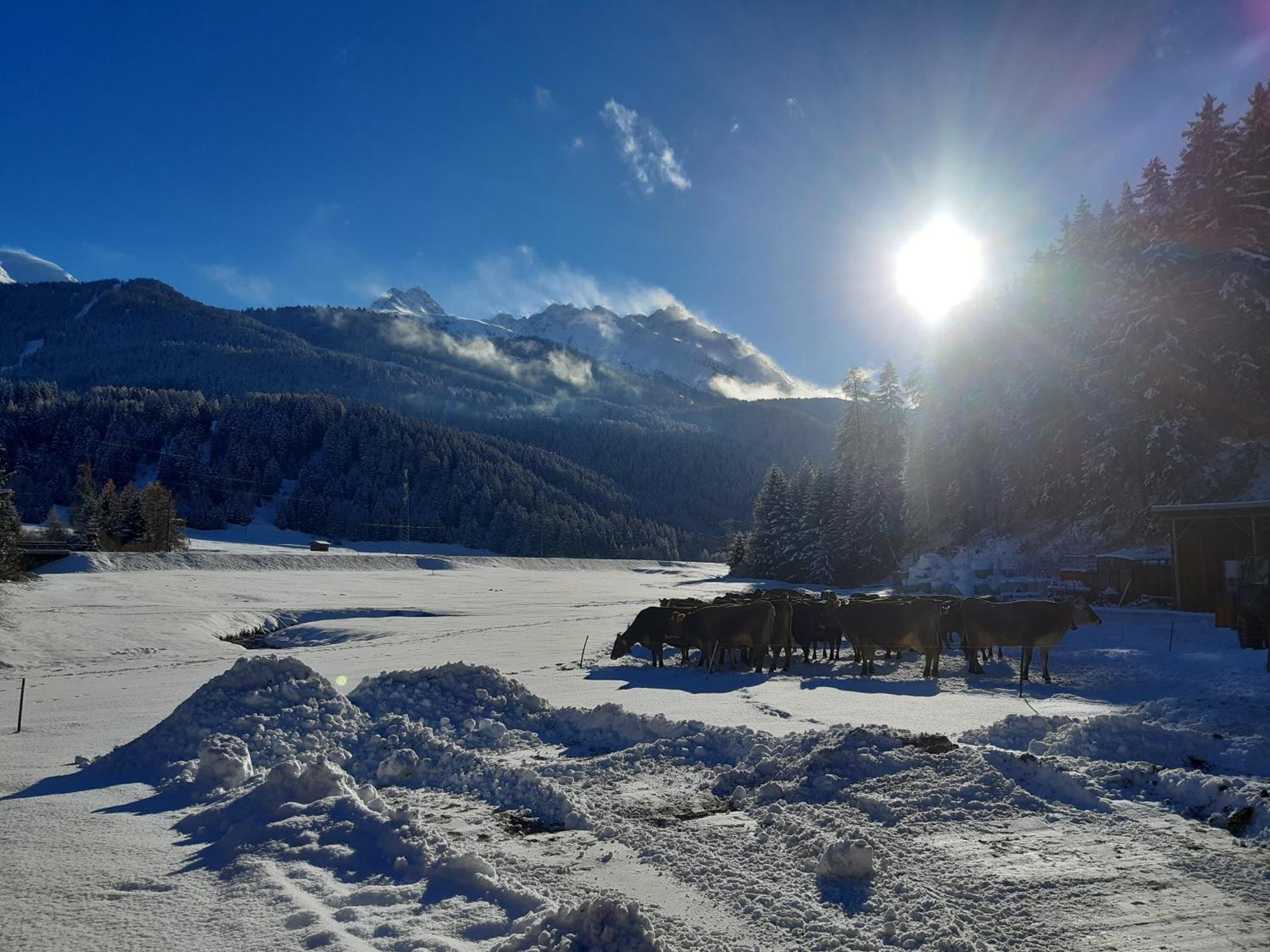 Valrunzhof Direkt Am Seilbahncenter Villa Nauders Luaran gambar